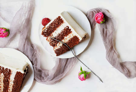Slice of chocolate cake with cream on a light background. Bold hues for basis designs and seasonal...