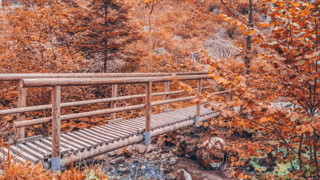 Wrought-iron gazebo in the city park, in Afanasyevsky Yar. Autumn mood.の写真素材