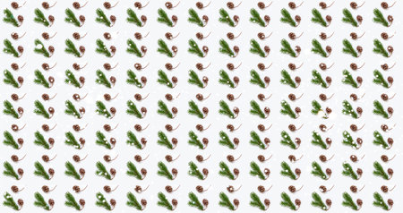 Christmas pattern of fir branches and cones on white background with snowflakes. Greeting card...