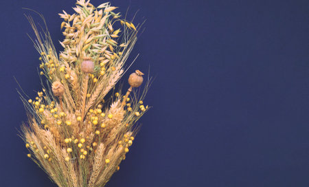 Didukh is Ukrainian Christmas decoration on dark background. Christmas rye and wheat sheaf.の写真素材