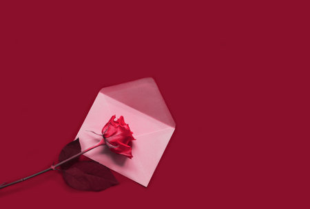Envelope with rose flowers on magenta background. Festive background concept for Valentine's or Day...