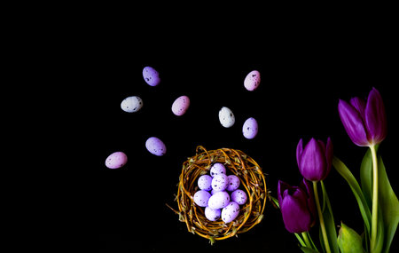 Easter eggs and purple tulips on dark background. Happy Easter concept. Copy space. Close-upの写真素材