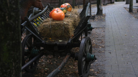 Old wooden cart loaded with hay bales and pumpkins on a wet autumn path in rustic settingの写真素材