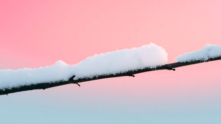 Snow-covered tree branch against pastel pink and blue winter skyの素材