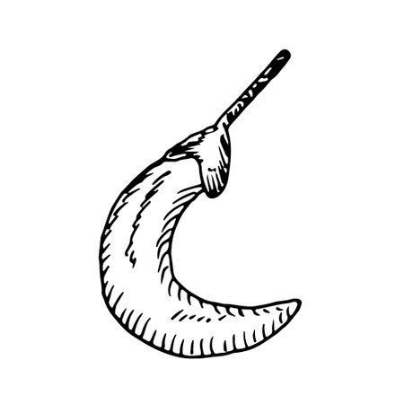 Chilli hot pepper isolated on white background. Vector sketch hand drawn illustration in doodle outline style. Mexican spice for meals, cooking, engraved. Red paprika growing, vegetable detailedのイラスト素材