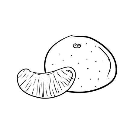 The whole tangerine with slice in black isolated on white background. Hand drawn vectorsketch illustration in doodle simple vintage engraved outline style. Fresh winter fruit, vitamins, healthy.のイラスト素材