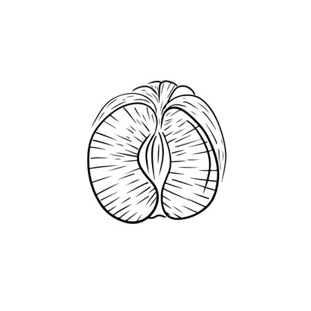 Half of peeled tangerine fruin in black isolated on white background. Hand drawn vectorsketch illustration in doodle simple vintage engraved outline style. Juicy, sour fruit with vitamins.のイラスト素材