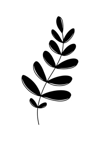 Silhouette of branch with rounded leaves and stem in black on white background. Hand drawn vector illustration in doodle line modern trendy style. Floral design, botanical, print, decorativeのイラスト素材