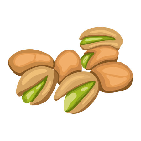 Realistic flat colored pistachios in group isolated on white background. Salty delicious organic food, nutshells. peeled. Food package, traditional snack, green, healthy, nutritional, beer gourmetのイラスト素材