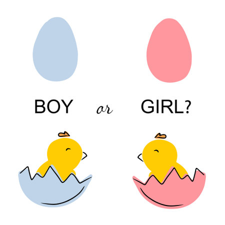 Guessing baby gender sex. Boy or girl predicting pregnancy. Two chick in blue and pink shell. baby shower. Announcement and celebration. Flat cartoon doodle vector illustration, small chickenのイラスト素材