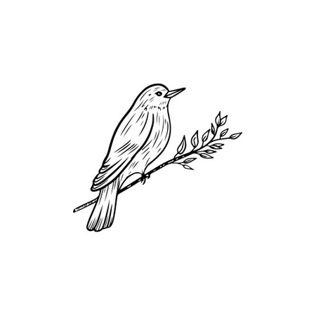 Beautiful realistic bird is sitting on the spring blooming branch with leaves in black isolated on white background. Hand drawn vector sketch illustration in doodle engraved line art vintage style.のイラスト素材