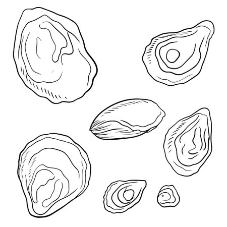 Set of tasty delicious oyster shell with pearl in black isolated on white background. Hand drawn vector sketch illustration in doodle vintage engraved style. Fresh seafood, nutritious, French cuisineのイラスト素材
