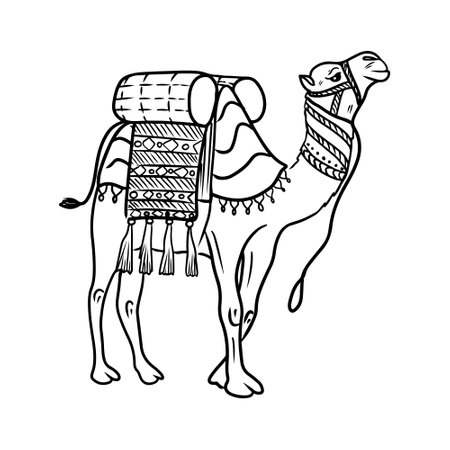 Standing camel with traditional fabric seat for riding in black isolated on white background. Hand drawn vector sketch illustration in doodle engraved vintage line art style. Egypt desert, travelのイラスト素材
