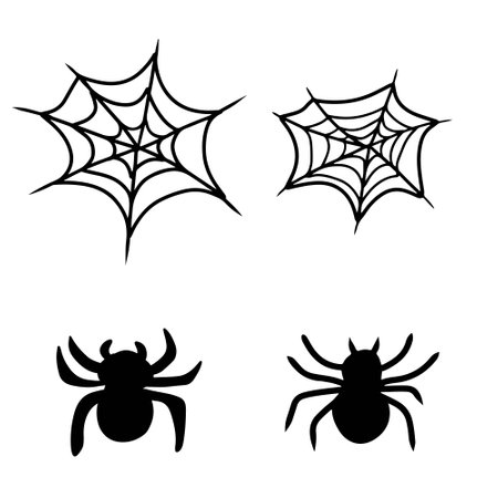 Set of beautiful realistic web net with spider in black isolated on white background. Hand drawn vector sketch illustration in doodle engraved line art vintage style. Happy Halloween, horror, iconのイラスト素材