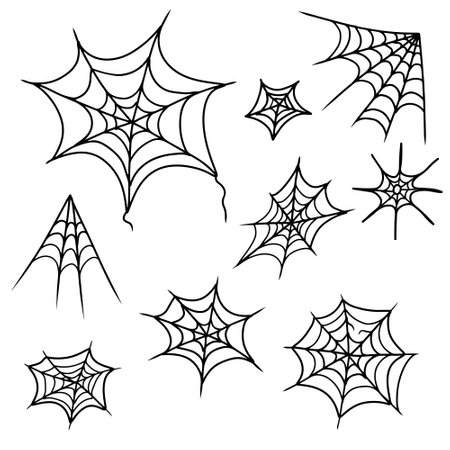 Set of beautiful realistic web net with spider in black isolated on white background. Hand drawn vector sketch illustration in doodle engraved line art vintage style. Happy Halloween, horror, icon.のイラスト素材