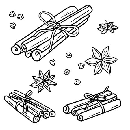 A set of cinnamon sticks, anise stars, pepper tied with a thread in black isolated on white. Hand drawn vector sketch illustration in doodle engraved vintage line art. Mulled wine ingredient, spices.のイラスト素材