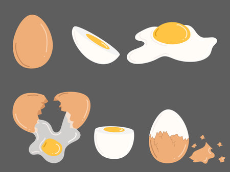 Set of chicken eggs. Hand drawn vector illustration in flat style. Whole brown eggshell eggs, boiled, fried eggs, yolk, broken eggshells. Concept of tasty breakfast, farm, cookingのイラスト素材