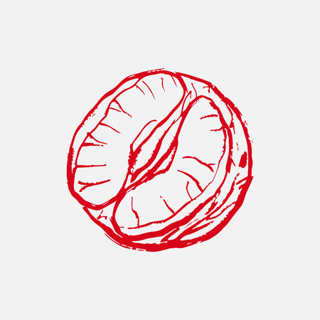 Hand drawn half of tangerine. Vector sketch illustration in vintage crayon textured style. Winter citrus fruit, Christmas symbolのイラスト素材