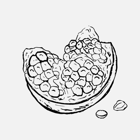 Hand drawn part of pomegranate with seeds and loose arils. Vector sketch illustration in vintage crayon charcoal style. Juice packaging, print design, doodle artのイラスト素材