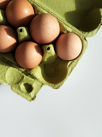 Organic brown chicken eggs in a green cardboard box on a light backgroundの写真素材