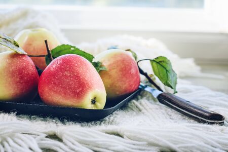 Fresh red and yellow apples on a warm plaid. Autumn time.の写真素材