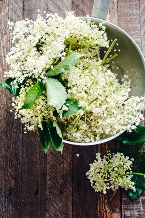 White elderberry flowers in a colander on a wooden table.の写真素材