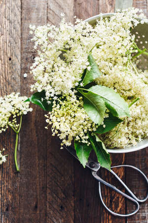 White elderberry flowers in a colander on a wooden table.の写真素材