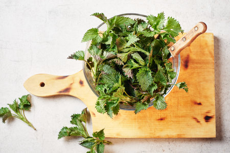 Cut green leaves of nettle in a bowl on a cutting board.の写真素材