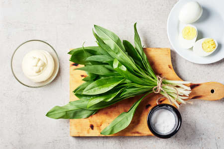 Bunch of fresh ramson (wild garlic), mayonnaise sauce, eggs. Ingredients for a salad or appetizer.の写真素材