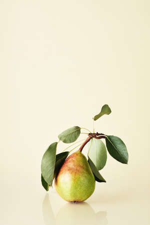 Ripe pear with leaves on a yellow background. Summer fruit concept.の写真素材