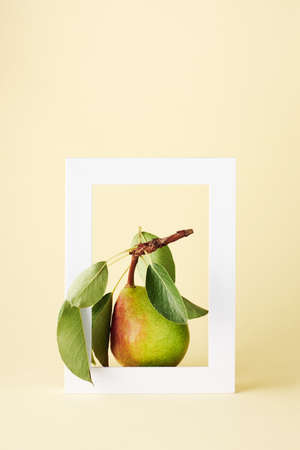 Ripe pear with leaves in a white frame on a yellow background. Summer fruit creative concept.の写真素材