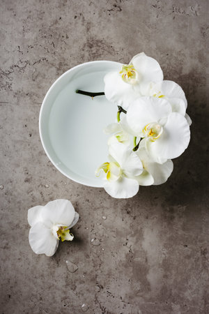 Phalaenopsis white orchid flower in a bowl of water on a stone background, top view.