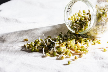 Fresh mung bean sprouts in a jar close up.の写真素材