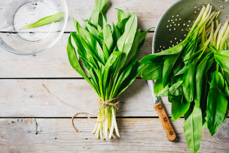 Fresh wild garlic, ramson leaves. Spring seasonal food.の写真素材