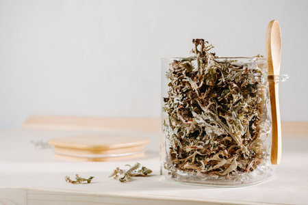 Dry icelandic moss in a glass jar. Cetraria islandica.の写真素材