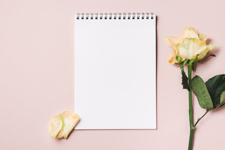 Mockup blank notebook, pastel rose on a pink background, copy space.の写真素材