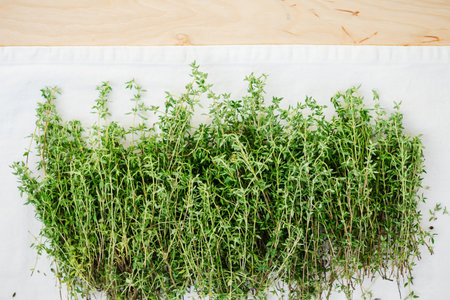 Harvested fresh thyme for drying. Spice, medicinal herb.の写真素材