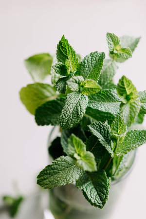 Fresh mint leaves in glass, close-up.の写真素材