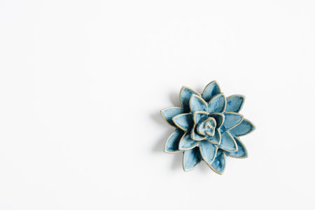 Ceramic decoration succulent plant on a white background, top view.