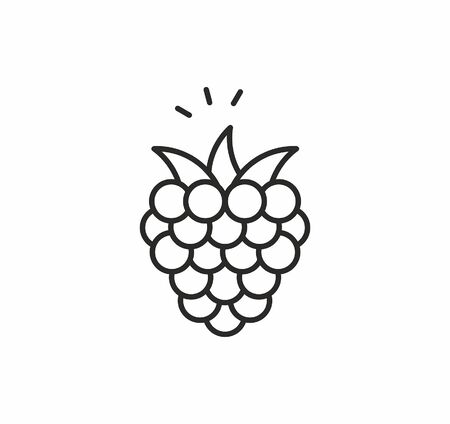 Raspberries vector iconのイラスト素材