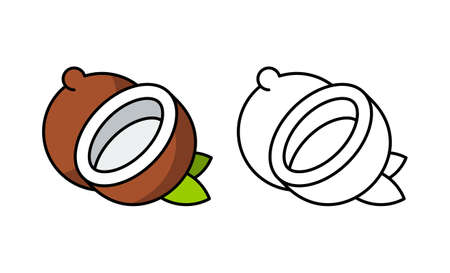 Coconut Icon. Isolated on White backgroundのイラスト素材