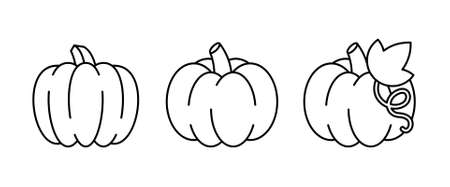 Pumpkin icon. Isolated on White backgroundのイラスト素材