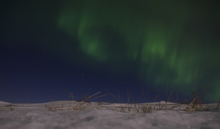 Aurora in Night Sky. Iceland Snowの写真素材