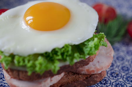 good morning. Delicious breakfast with Sandwich with egg, ham, cheese, toast and salad leaves lies on a plate with tomato and dillの写真素材