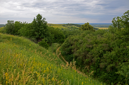 Summer landscape with unpaved roads among high green hills. Ukraineの写真素材