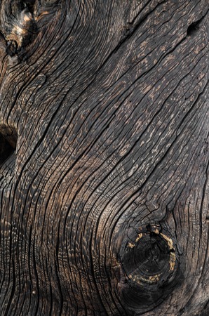 Vintage aged dark brown wooden background texture close up. texture of a wooden board of solid wood.の写真素材