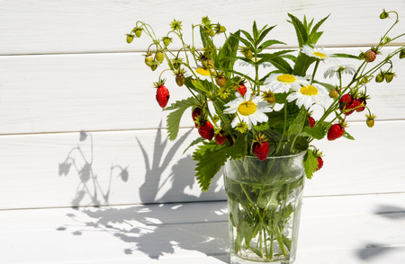 Branches of red ripe strawberries, white daisies and mint leaves stand in a glass of water on a wooden stump against the background of green grassの写真素材