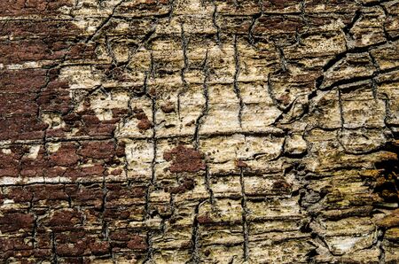 An old brown wood background with cracks. Close-up