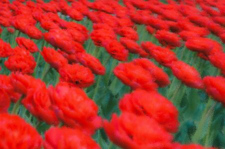 Juicy red-green summer background, defocused background. Backgroundの写真素材