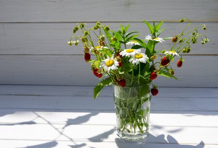 Medicinal herbs: Branches of red ripe strawberries, white daisies and mint leaves stand in a glass of water on a wooden stump against the background of green grassの写真素材